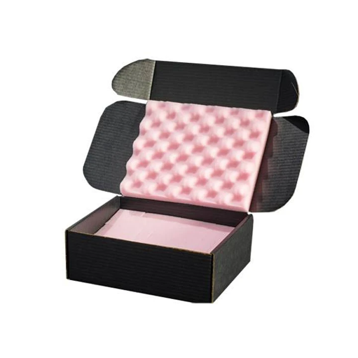 Protective electronics box with fitted insert