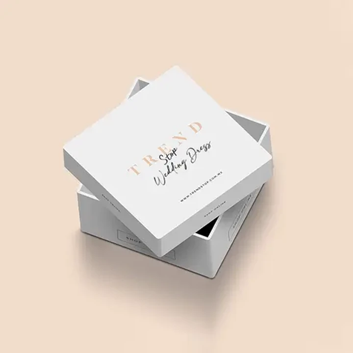 Folded dress in printed apparel box