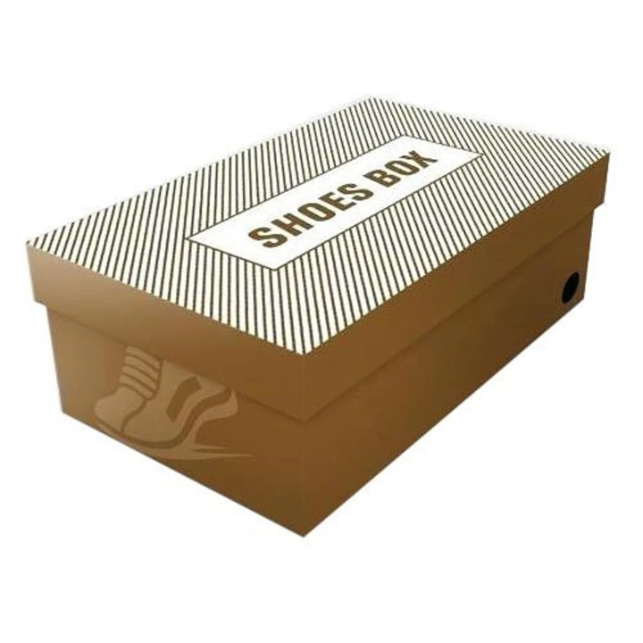 Pair of shoes in sturdy packaging box
