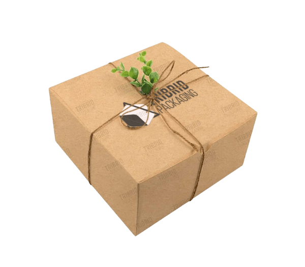 Eco-Friendly Boxes